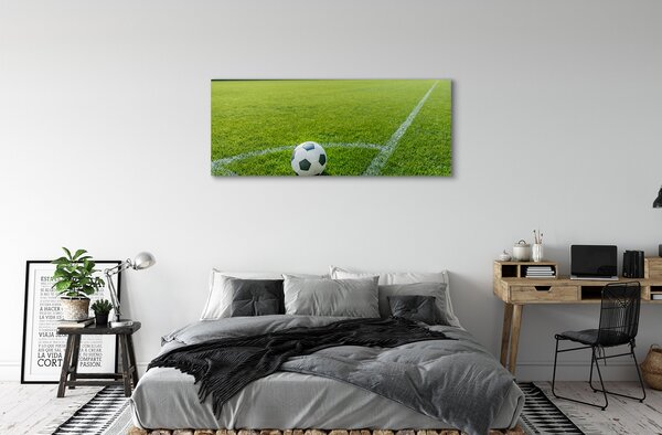 Tablouri canvas Stadionul de fotbal cu gazon