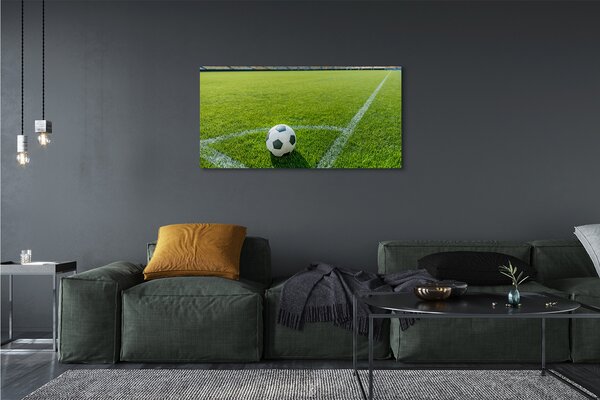 Tablouri canvas Stadionul de fotbal cu gazon