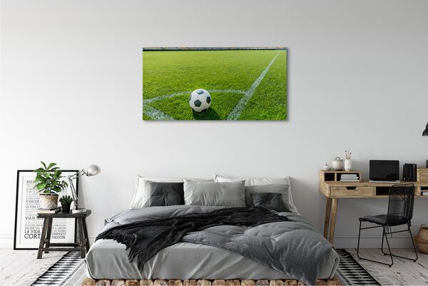 Tablouri canvas Stadionul de fotbal cu gazon