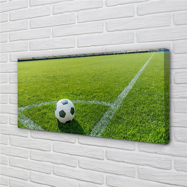 Tablouri canvas Stadionul de fotbal cu gazon