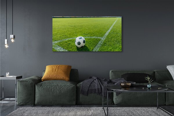 Tablouri canvas Stadionul de fotbal cu gazon