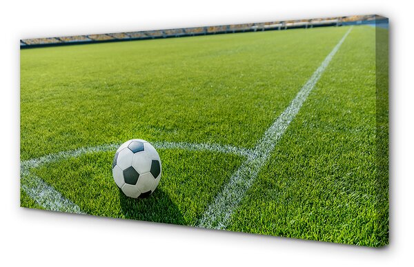Tablouri canvas Stadionul de fotbal cu gazon