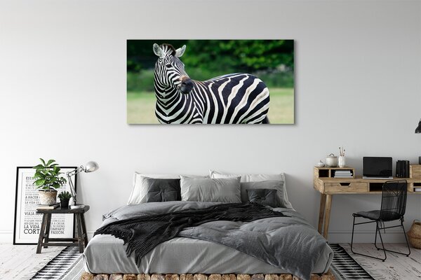 Tablouri canvas caseta Zebra
