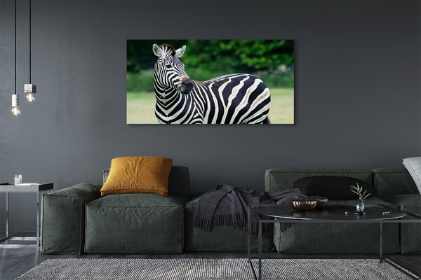 Tablouri canvas caseta Zebra