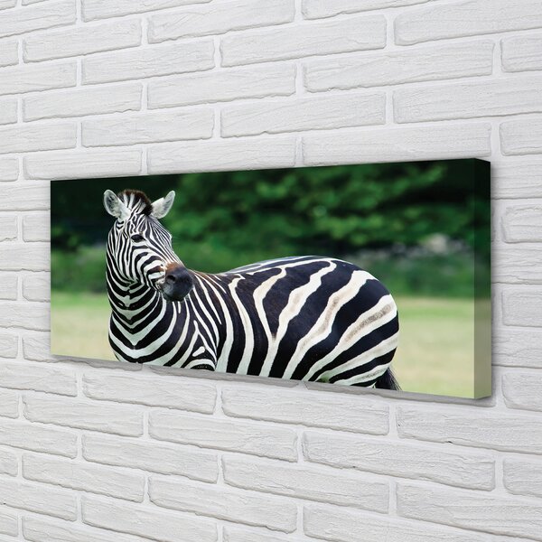 Tablouri canvas caseta Zebra