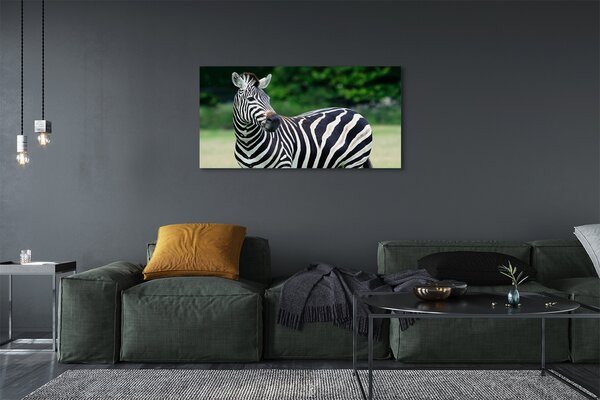 Tablouri canvas caseta Zebra