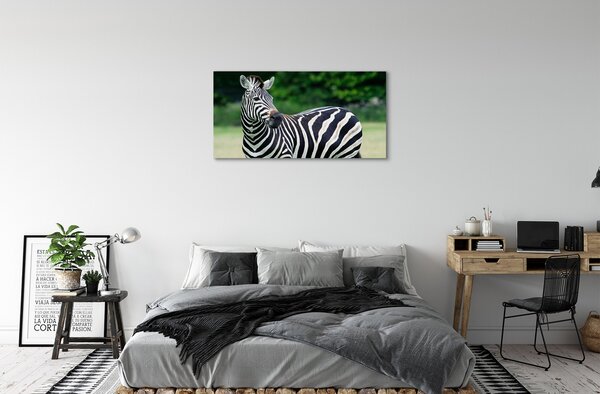 Tablouri canvas caseta Zebra