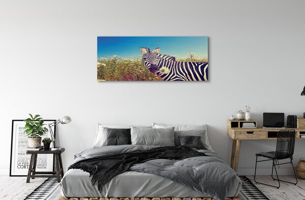 Tablouri canvas flori zebră