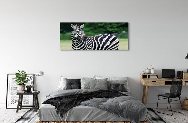 Tablouri canvas caseta Zebra