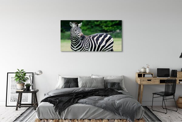 Tablouri canvas caseta Zebra