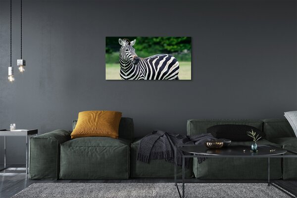 Tablouri canvas caseta Zebra