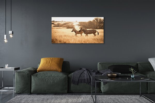 Tablouri canvas Zebra câmp apus de soare