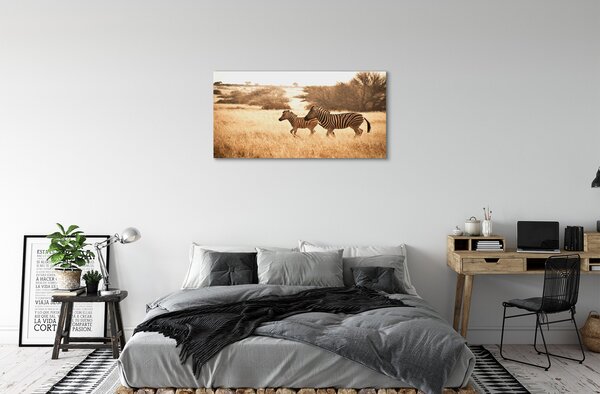 Tablouri canvas Zebra câmp apus de soare