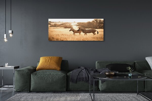 Tablouri canvas Zebra câmp apus de soare