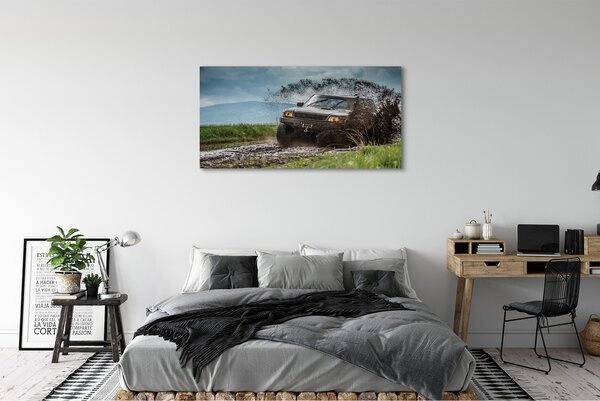 Tablouri canvas Auto câmp munți nori