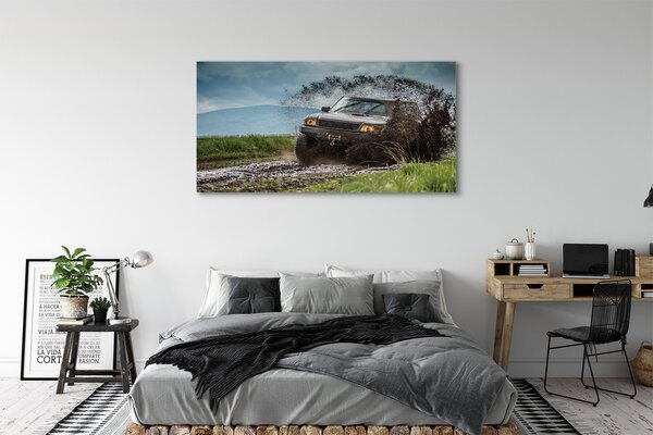 Tablouri canvas Auto câmp munți nori