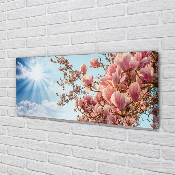 Tablouri canvas Magnolia cer soare