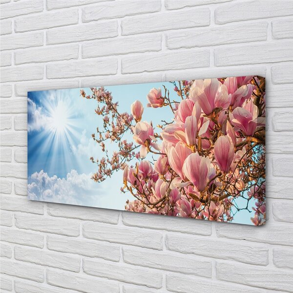 Tablouri canvas Magnolia cer soare
