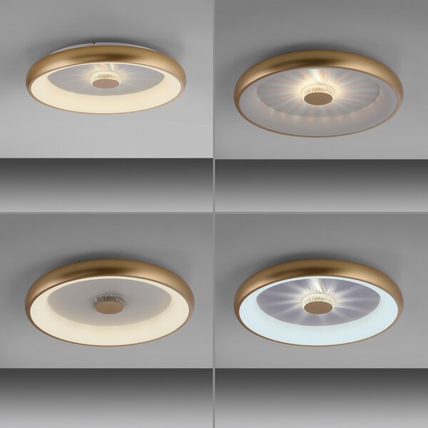 JUST LIGHT. GmbH Plafonieră cu LED Vertigo, CCT, Ø 61,5 cm, alamă, reglabil, Auriu / Alamă, Camera de zi / sufragerie, Metal, Modern