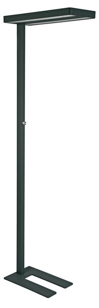 Maul Lampadar LED MAULjaval, negru, 196 cm, bază dimabilă, reglabil, Negru, Studiu / Birou, Aluminiu, Modern