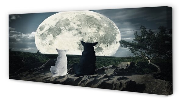 Tablouri canvas pădure Lupii luna
