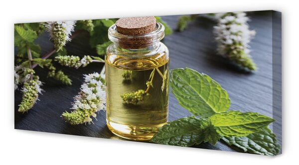 Tablouri canvas Ceaiul Mint
