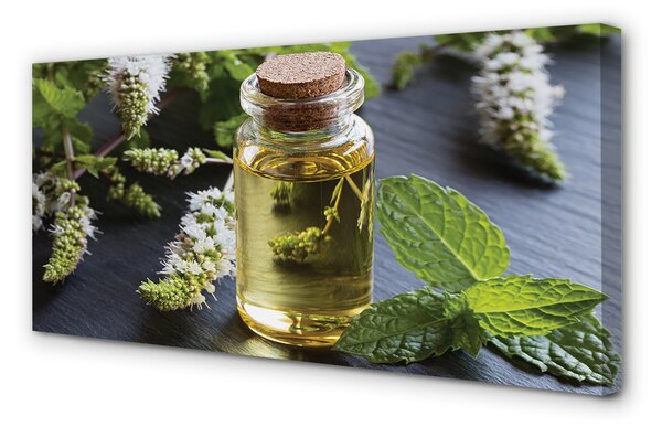 Tablouri canvas Ceaiul Mint