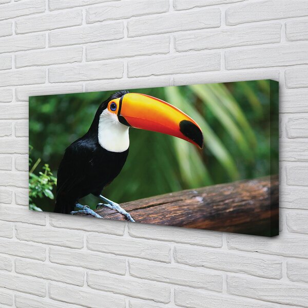 Tablouri canvas Toucan pe o ramură
