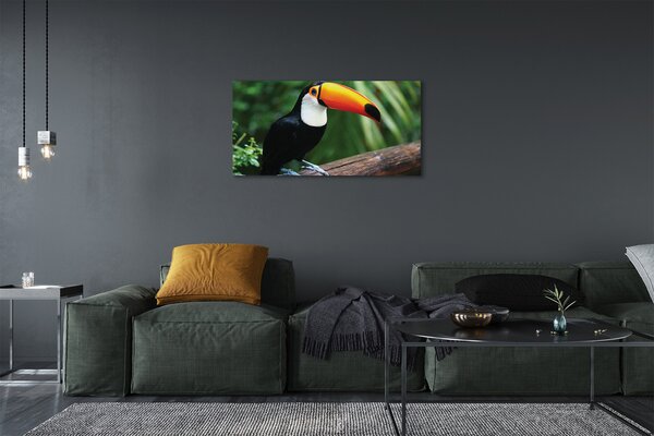 Tablouri canvas Toucan pe o ramură