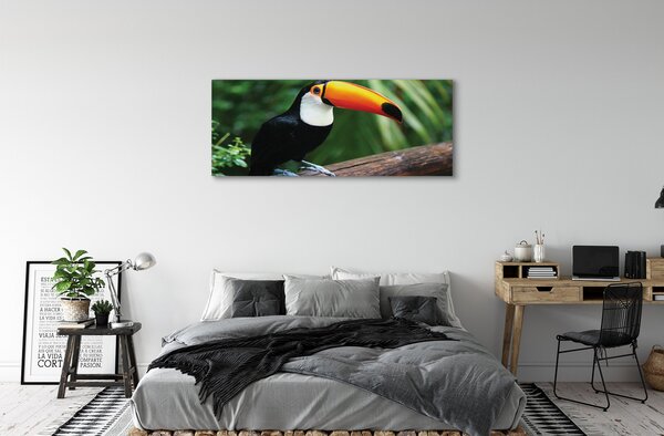 Tablouri canvas Toucan pe o ramură