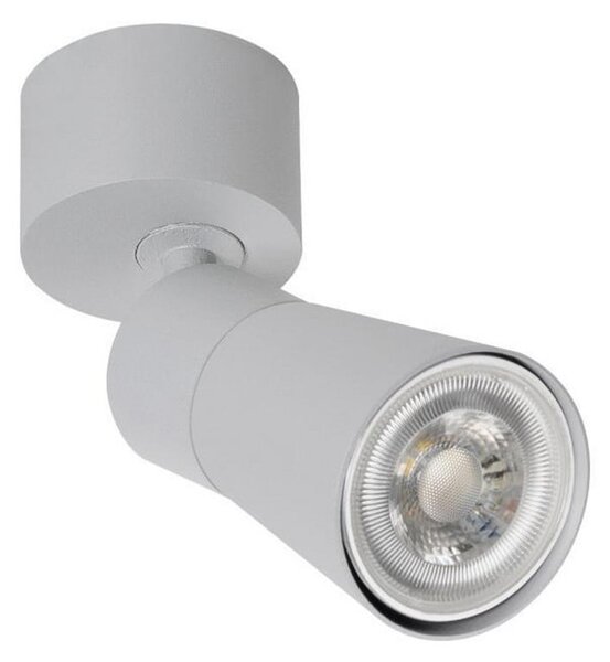 SLV Plafonieră Puri 2.0 Cone, gri, Ø 5 cm, metal, reglabil, Gri, Camera de zi / sufragerie, Aluminiu, Modern