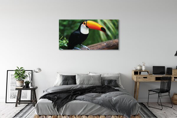 Tablouri canvas Toucan pe o ramură