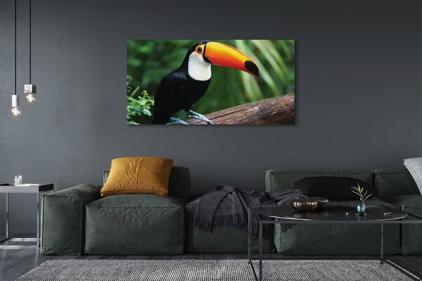 Tablouri canvas Toucan pe o ramură