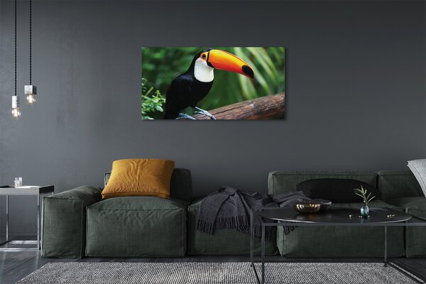Tablouri canvas Toucan pe o ramură