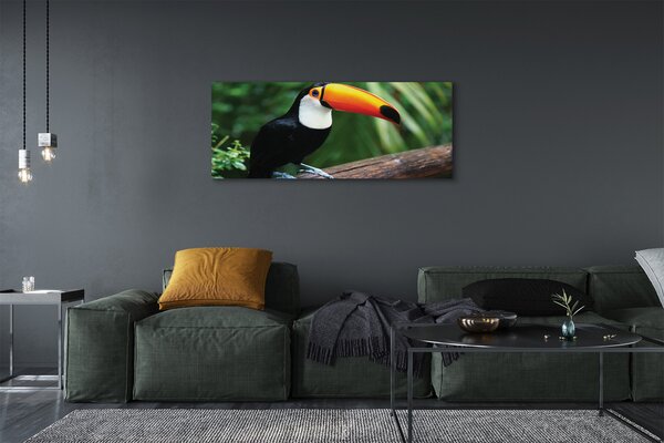 Tablouri canvas Toucan pe o ramură