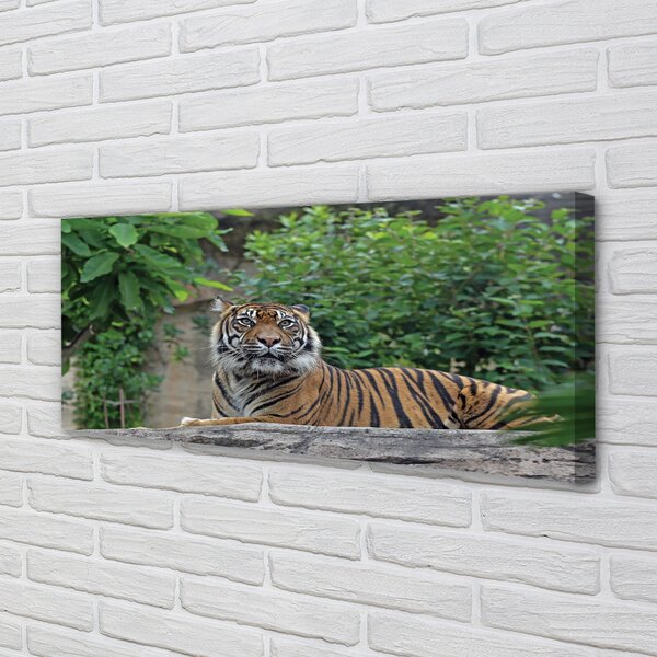 Tablouri canvas Woods tigru