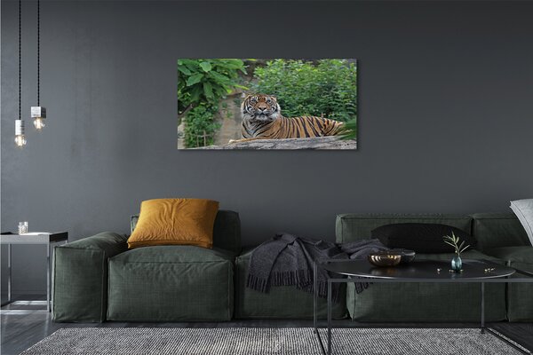 Tablouri canvas Woods tigru
