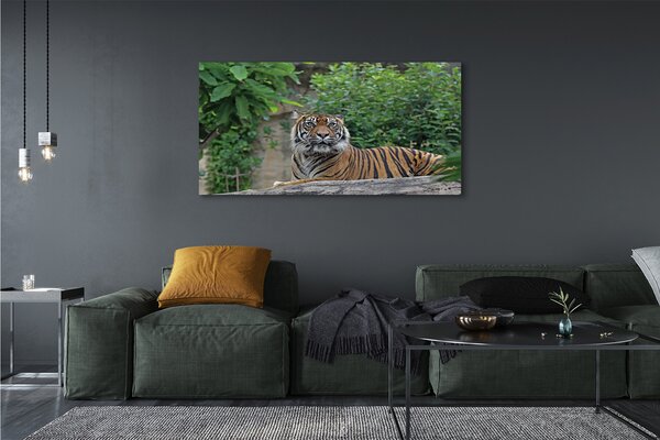 Tablouri canvas Woods tigru