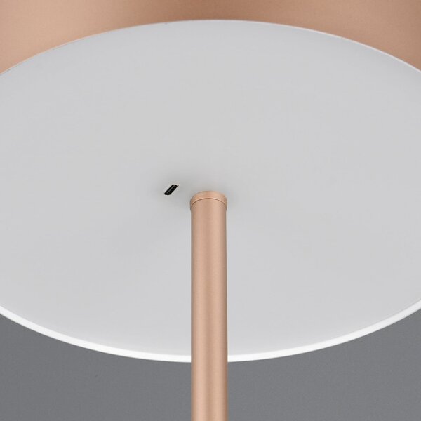 Reality Leuchten Lampadar LED cu baterie Jeff, cafea, dimabil, înălțime 147 cm, reglabil, Maro / Rugină, dormitor, Metal