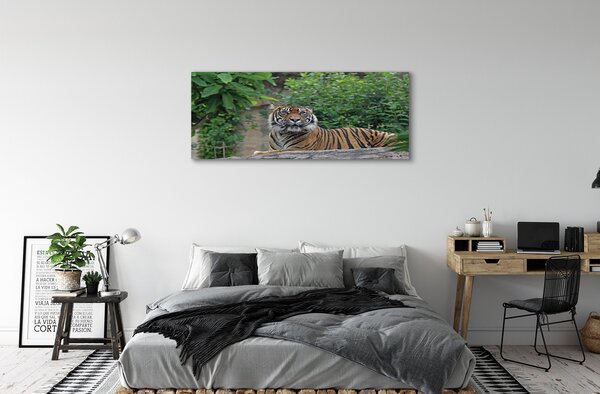 Tablouri canvas Woods tigru
