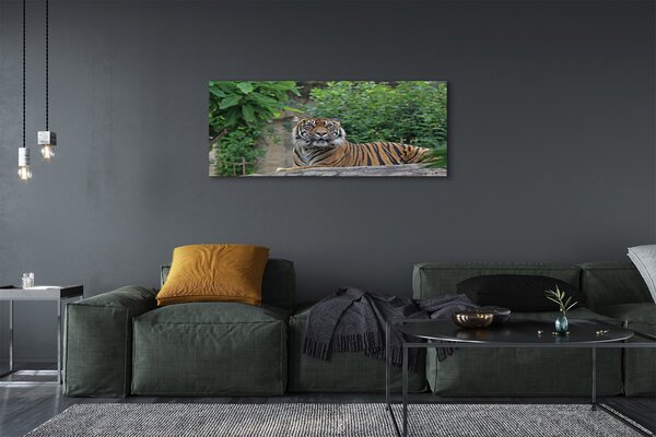 Tablouri canvas Woods tigru