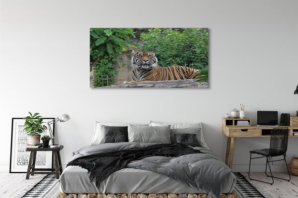 Tablouri canvas Woods tigru