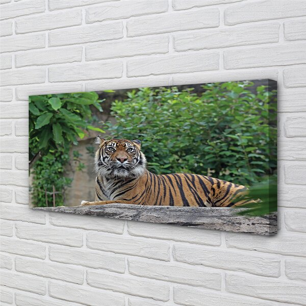 Tablouri canvas Woods tigru