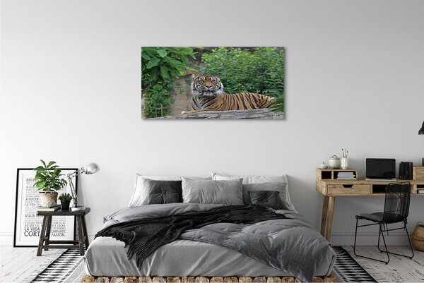 Tablouri canvas Woods tigru