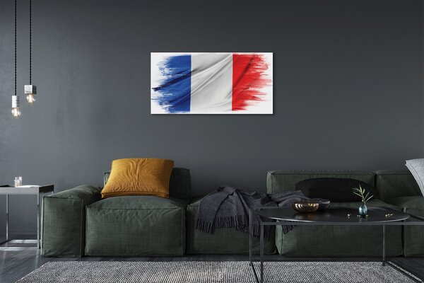 Tablouri canvas steagul Franței