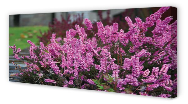 Tablouri canvas Heathers