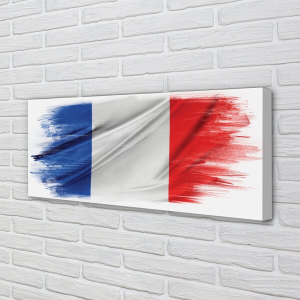 Tablouri canvas steagul Franței