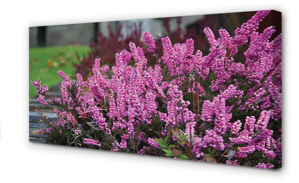 Tablouri canvas Heathers