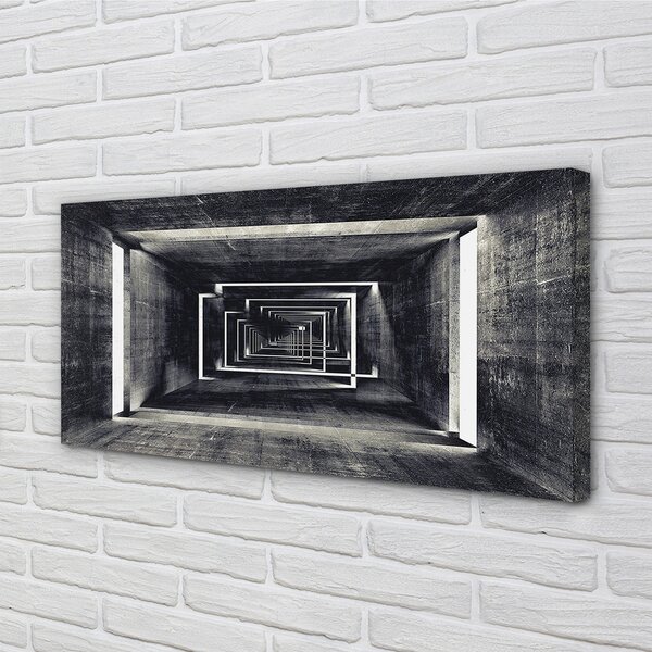 Tablouri canvas Tunel