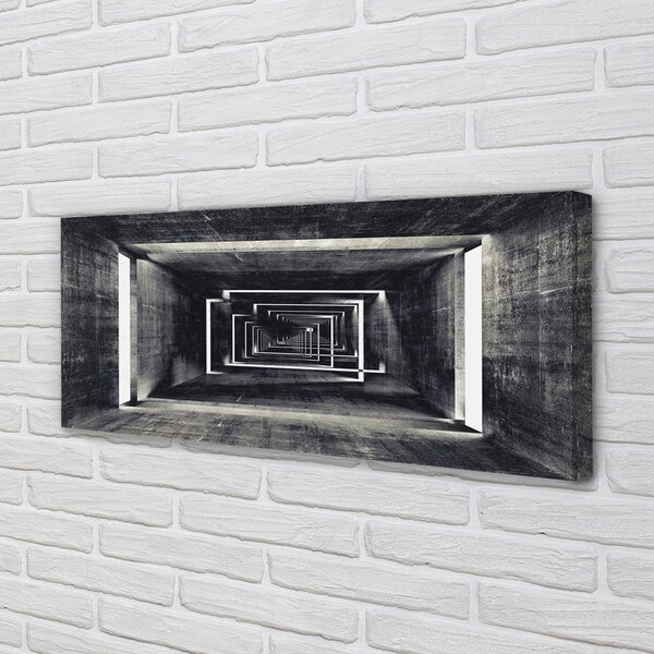 Tablouri canvas Tunel